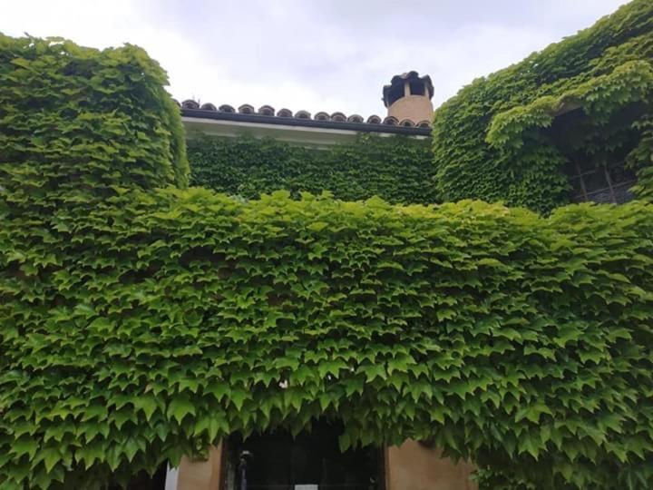 Hotel La Posada De Lalola Buera Buitenkant foto